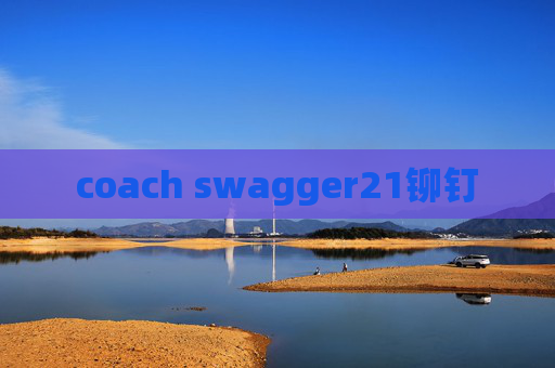 coach swagger21铆钉